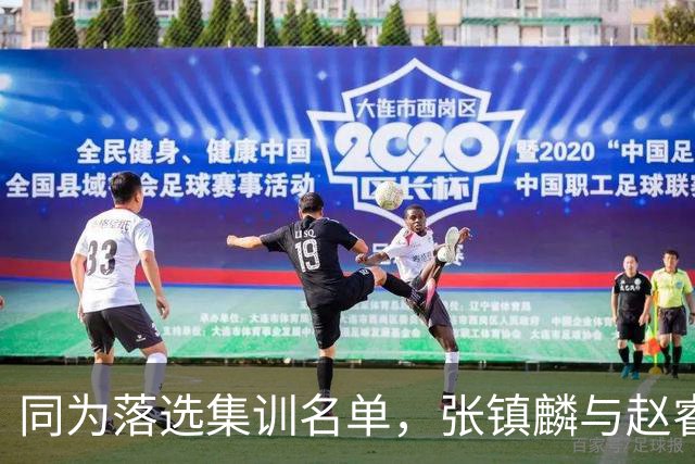 同为落选集训名单，张镇麟与赵睿的境遇差异何在？